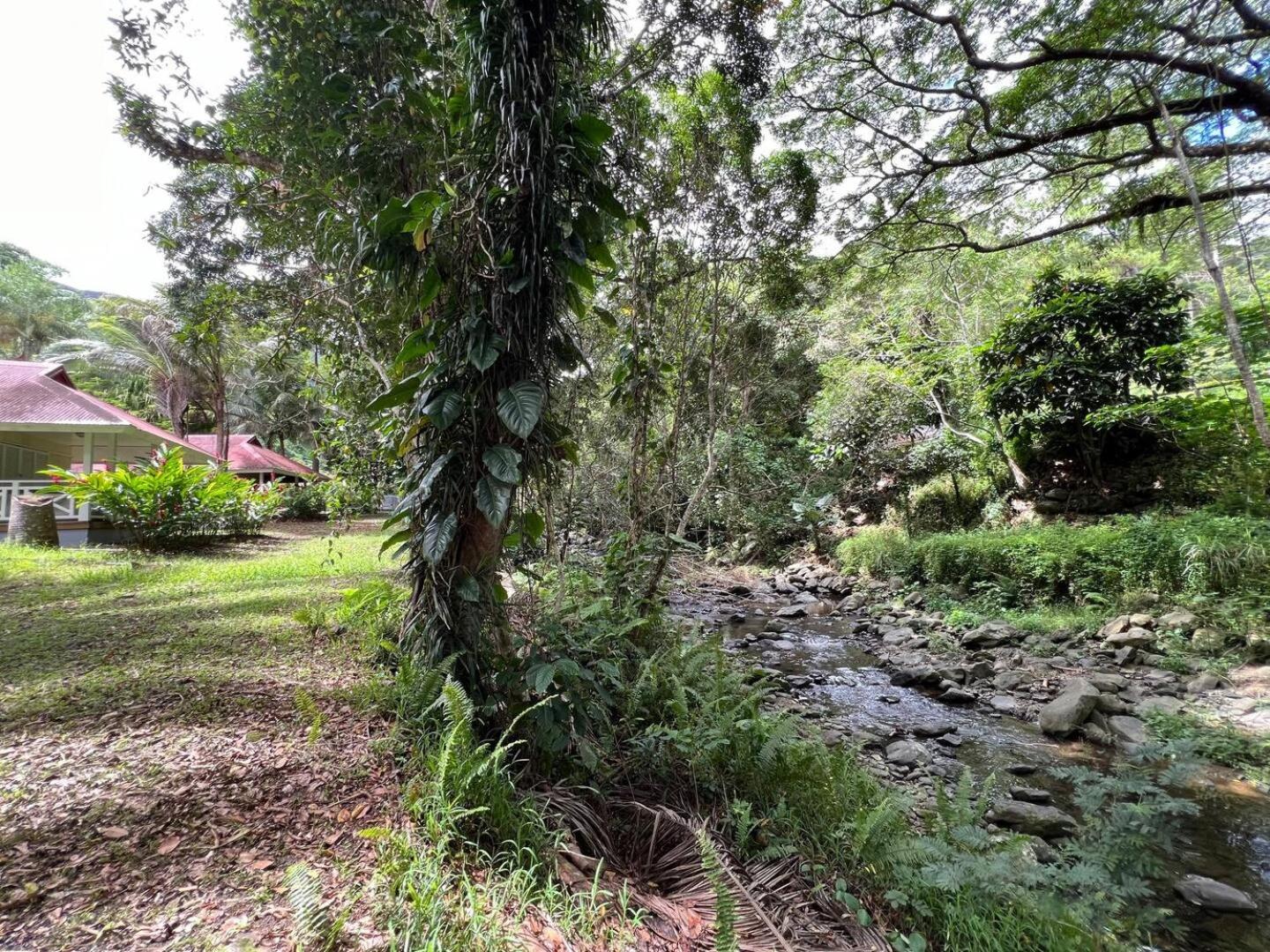 Evasion Bungalow Tropical Spa Sarramea Exterior photo