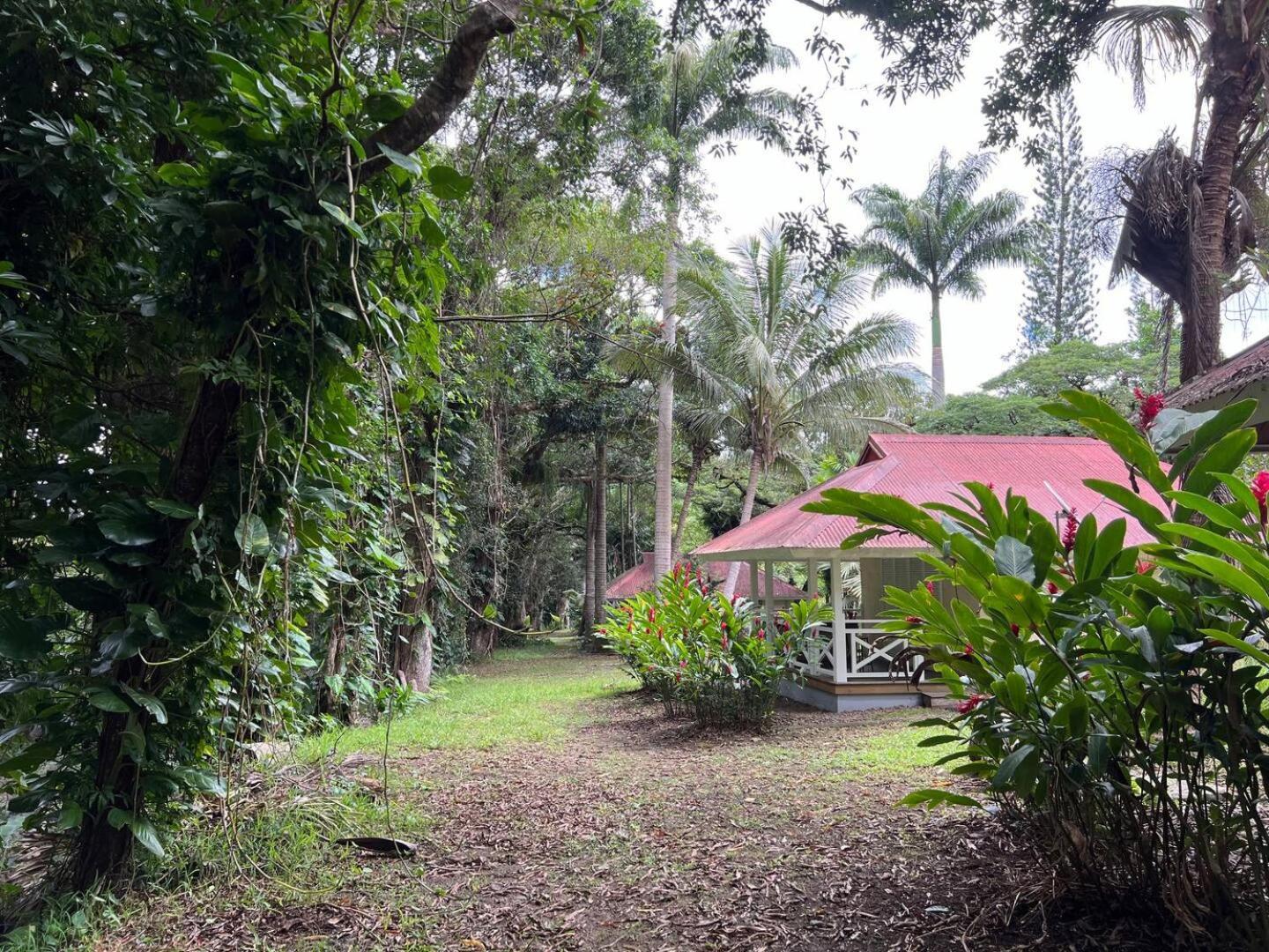 Evasion Bungalow Tropical Spa Sarramea Exterior photo